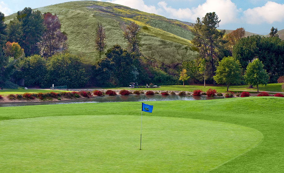 Diamond Bar Golf Course Golf Course Diamond Bar, CA
