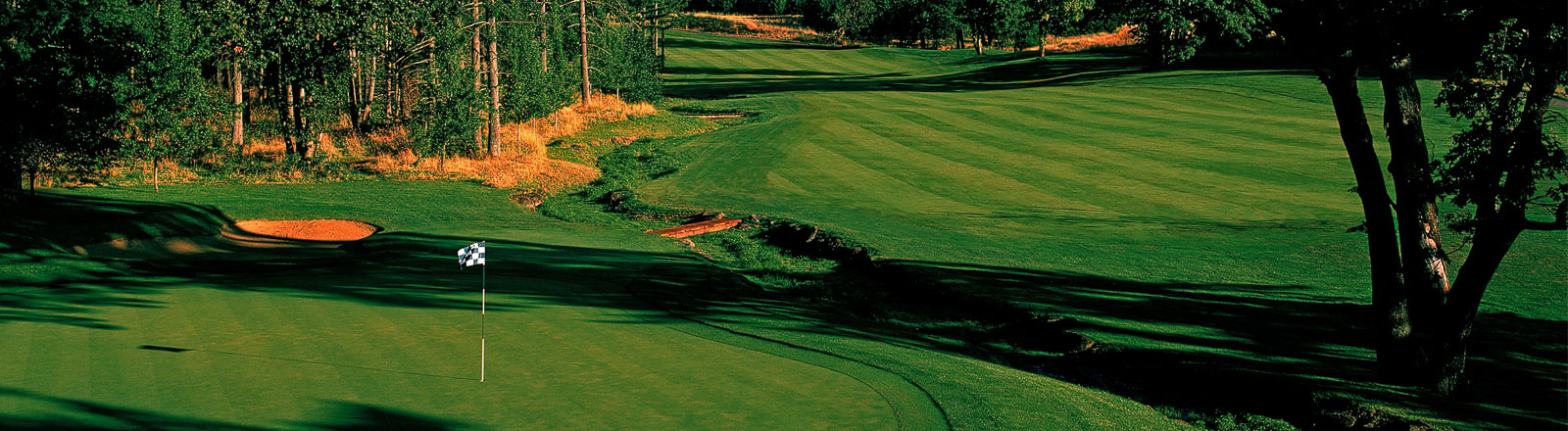 The Oregon Golf Club Header